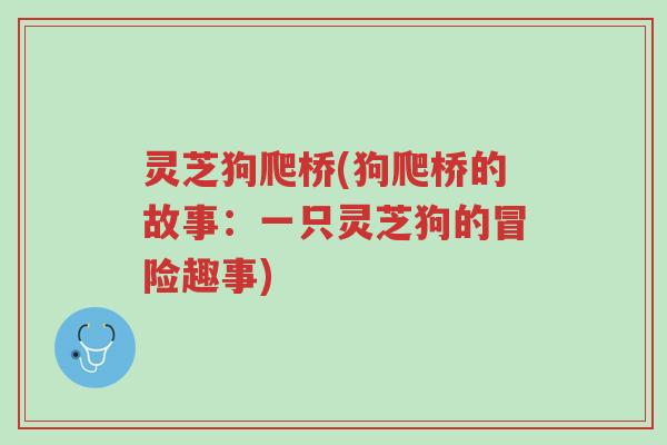 灵芝狗爬桥(狗爬桥的故事:一只灵芝狗的冒险趣事)-第1张图片-超越 灵芝狗爬桥(狗爬桥的故事:一只灵芝狗的冒险趣事)-第1张图片-超越