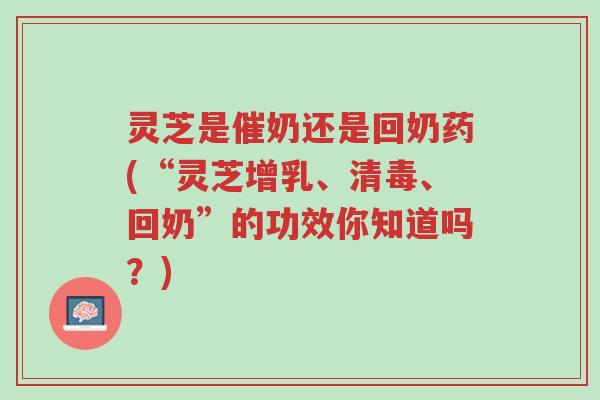 灵芝是催奶还是回奶药(“灵芝增乳、清毒、回奶”的功效你知道吗?)-第1张图片-超越 灵芝是催奶还是回奶药(“灵芝增乳、清毒、回奶”的功效你知道吗?)-第1张图片-超越