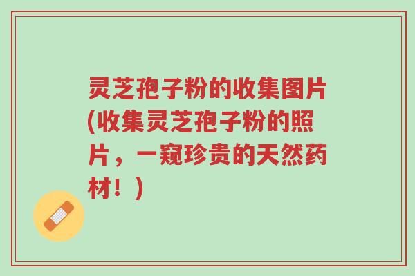 灵芝孢子粉的收集图片(收集灵芝孢子粉的照片，一窥珍贵的天然药材！)-第1张图片-超越