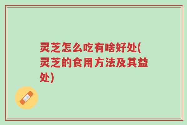 灵芝怎么吃有啥好处(灵芝的食用方法及其益处)-第1张图片-超越 灵芝怎么吃有啥好处(灵芝的食用方法及其益处)-第1张图片-超越