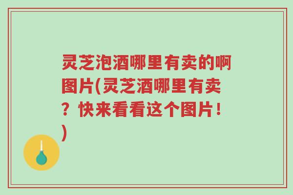 灵芝泡酒哪里有卖的啊图片(灵芝酒哪里有卖?快来看看这个图片!)-第1张图片-超越 灵芝泡酒哪里有卖的啊图片(灵芝酒哪里有卖?快来看看这个图片!)-第1张图片-超越
