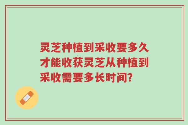 灵芝种植到采收要多久才能收获灵芝从种植到采收需要多长时间?-第1张图片-超越 灵芝种植到采收要多久才能收获灵芝从种植到采收需要多长时间?-第1张图片-超越