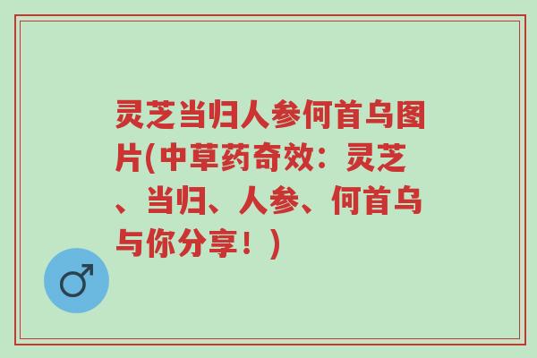 灵芝当归人参何首乌图片(中草药奇效:灵芝、当归、人参、何首乌与你分享!)-第1张图片-超越 灵芝当归人参何首乌图片(中草药奇效:灵芝、当归、人参、何首乌与你分享!)-第1张图片-超越