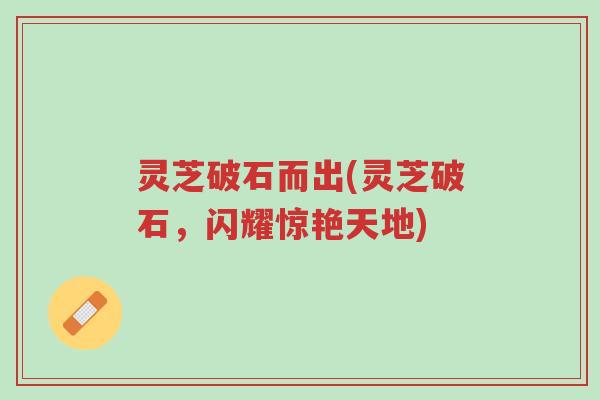 灵芝破石而出(灵芝破石,闪耀惊艳天地)-第1张图片-超越 灵芝破石而出(灵芝破石,闪耀惊艳天地)-第1张图片-超越