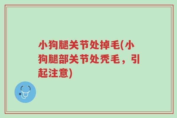小狗腿关节处掉毛(小狗腿部关节处秃毛,引起注意)-第1张图片-超越 小狗腿关节处掉毛(小狗腿部关节处秃毛,引起注意)-第1张图片-超越