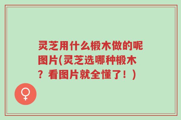 灵芝用什么椴木做的呢图片(灵芝选哪种椴木?看图片就全懂了!)-第1张图片-超越 灵芝用什么椴木做的呢图片(灵芝选哪种椴木?看图片就全懂了!)-第1张图片-超越