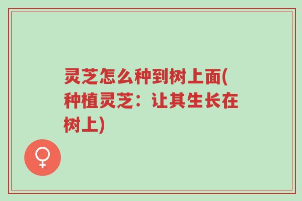 灵芝怎么种到树上面(种植灵芝:让其生长在树上)-第1张图片-超越 灵芝怎么种到树上面(种植灵芝:让其生长在树上)-第1张图片-超越