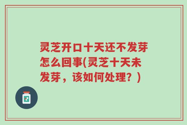 灵芝开口十天还不发芽怎么回事(灵芝十天未发芽,该如何处理?)-第1张图片-超越 灵芝开口十天还不发芽怎么回事(灵芝十天未发芽,该如何处理?)-第1张图片-超越