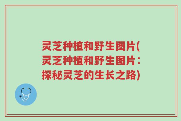 灵芝种植和野生图片(灵芝种植和野生图片:探秘灵芝的生长之路)-第1张图片-超越 灵芝种植和野生图片(灵芝种植和野生图片:探秘灵芝的生长之路)-第1张图片-超越