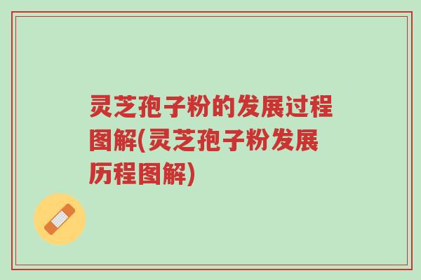 灵芝孢子粉的发展过程图解(灵芝孢子粉发展历程图解)-第1张图片-超越
