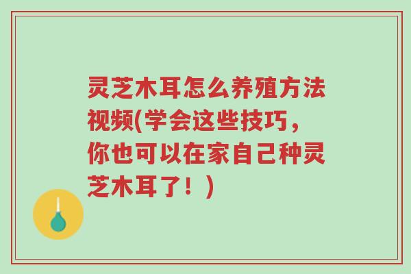 灵芝木耳怎么养殖方法视频(学会这些技巧,你也可以在家自己种灵芝木耳了!)-第1张图片-超越 灵芝木耳怎么养殖方法视频(学会这些技巧,你也可以在家自己种灵芝木耳了!)-第1张图片-超越
