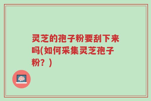 灵芝的孢子粉要刮下来吗(如何采集灵芝孢子粉？)-第1张图片-超越