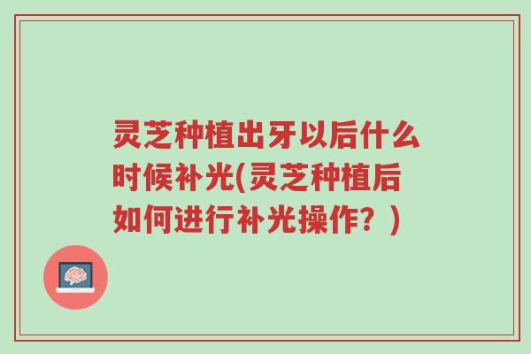 灵芝种植出牙以后什么时候补光(灵芝种植后如何进行补光操作?)-第1张图片-超越 灵芝种植出牙以后什么时候补光(灵芝种植后如何进行补光操作?)-第1张图片-超越