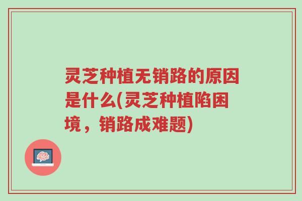 灵芝种植无销路的原因是什么(灵芝种植陷困境,销路成难题)-第1张图片-超越 灵芝种植无销路的原因是什么(灵芝种植陷困境,销路成难题)-第1张图片-超越