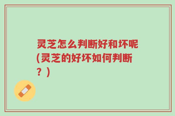 灵芝怎么判断好和坏呢(灵芝的好坏如何判断？)-第1张图片-超越