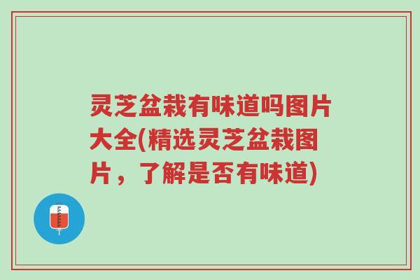 灵芝盆栽有味道吗图片大全(精选灵芝盆栽图片，了解是否有味道)-第1张图片-超越