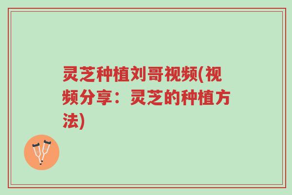 灵芝种植刘哥视频(视频分享:灵芝的种植方法)-第1张图片-超越 灵芝种植刘哥视频(视频分享:灵芝的种植方法)-第1张图片-超越