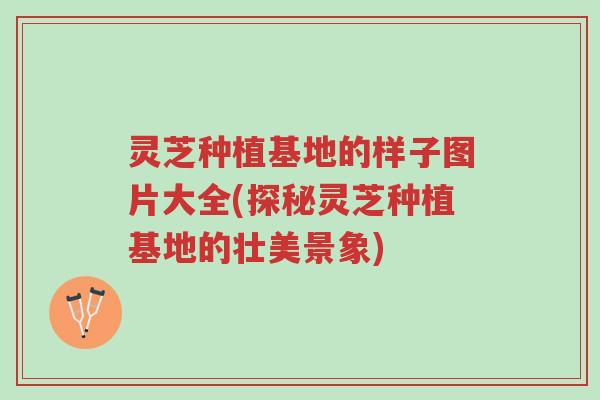 灵芝种植基地的样子图片大全(探秘灵芝种植基地的壮美景象)-第1张图片-超越 灵芝种植基地的样子图片大全(探秘灵芝种植基地的壮美景象)-第1张图片-超越
