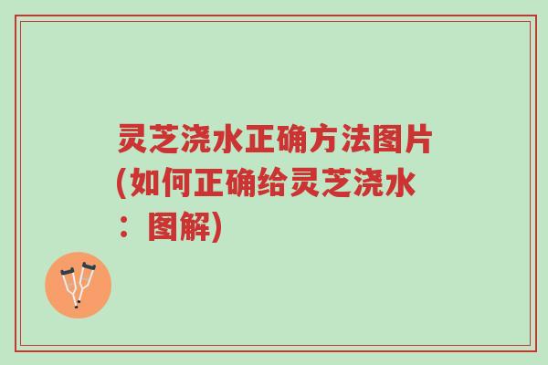 灵芝浇水正确方法图片(如何正确给灵芝浇水:图解)-第1张图片-超越 灵芝浇水正确方法图片(如何正确给灵芝浇水:图解)-第1张图片-超越