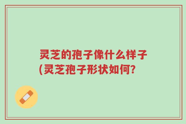 灵芝的孢子像什么样子(灵芝孢子形状如何?-第1张图片-超越 灵芝的孢子像什么样子(灵芝孢子形状如何?-第1张图片-超越
