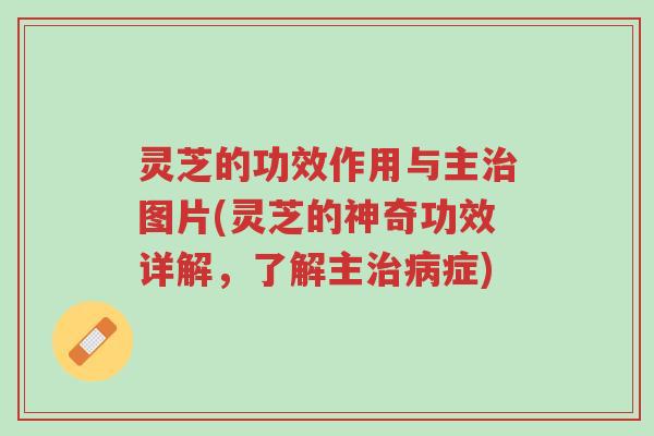 灵芝的功效作用与主治图片(灵芝的神奇功效详解，了解主治病症)-第1张图片-超越