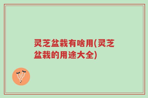 灵芝盆栽有啥用(灵芝盆栽的用途大全)-第1张图片-超越 灵芝盆栽有啥用(灵芝盆栽的用途大全)-第1张图片-超越