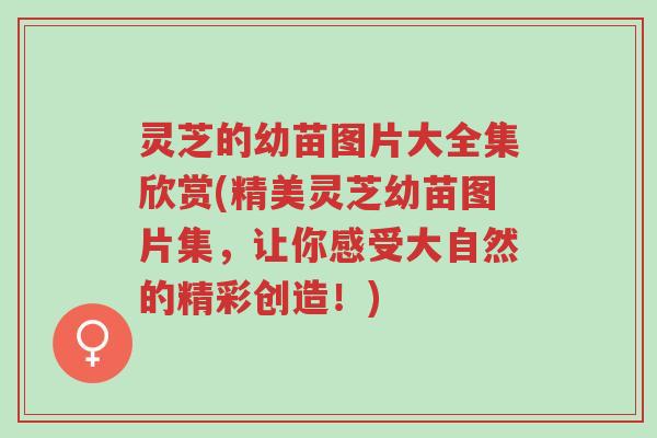 灵芝的幼苗图片大全集欣赏(精美灵芝幼苗图片集,让你感受大自然的精彩创造!)-第1张图片-超越 灵芝的幼苗图片大全集欣赏(精美灵芝幼苗图片集,让你感受大自然的精彩创造!)-第1张图片-超越
