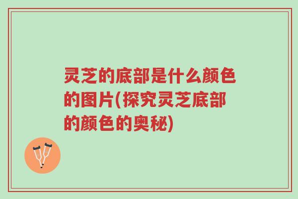 灵芝的底部是什么颜色的图片(探究灵芝底部的颜色的奥秘)-第1张图片-超越 灵芝的底部是什么颜色的图片(探究灵芝底部的颜色的奥秘)-第1张图片-超越
