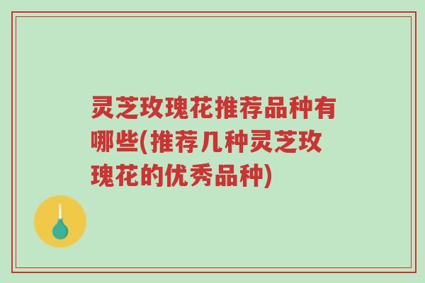 灵芝玫瑰花推荐品种有哪些(推荐几种灵芝玫瑰花的优秀品种)-第1张图片-超越