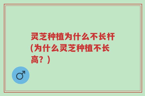 灵芝种植为什么不长杆(为什么灵芝种植不长高?)-第1张图片-超越 灵芝种植为什么不长杆(为什么灵芝种植不长高?)-第1张图片-超越