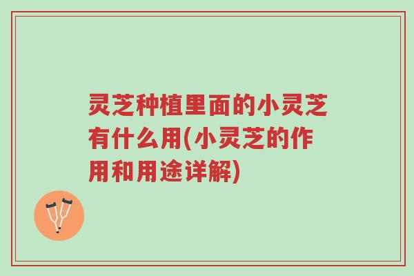 灵芝种植里面的小灵芝有什么用(小灵芝的作用和用途详解)-第1张图片-超越 灵芝种植里面的小灵芝有什么用(小灵芝的作用和用途详解)-第1张图片-超越