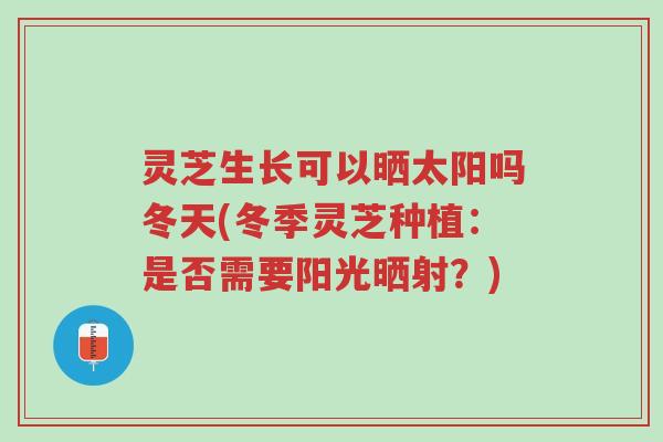 灵芝生长可以晒太阳吗冬天(冬季灵芝种植:是否需要阳光晒射?)-第1张图片-超越 灵芝生长可以晒太阳吗冬天(冬季灵芝种植:是否需要阳光晒射?)-第1张图片-超越