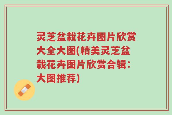 灵芝盆栽花卉图片欣赏大全大图(精美灵芝盆栽花卉图片欣赏合辑：大图推荐)-第1张图片-超越