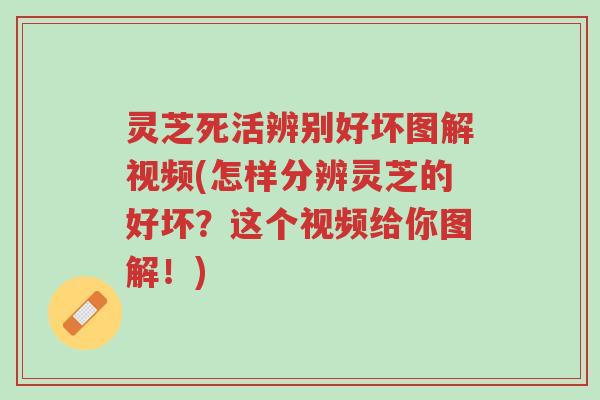 灵芝死活辨别好坏图解视频(怎样分辨灵芝的好坏?这个视频给你图解!)-第1张图片-超越 灵芝死活辨别好坏图解视频(怎样分辨灵芝的好坏?这个视频给你图解!)-第1张图片-超越