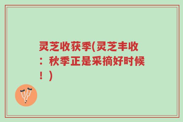 灵芝收获季(灵芝丰收：秋季正是采摘好时候！)-第1张图片-超越