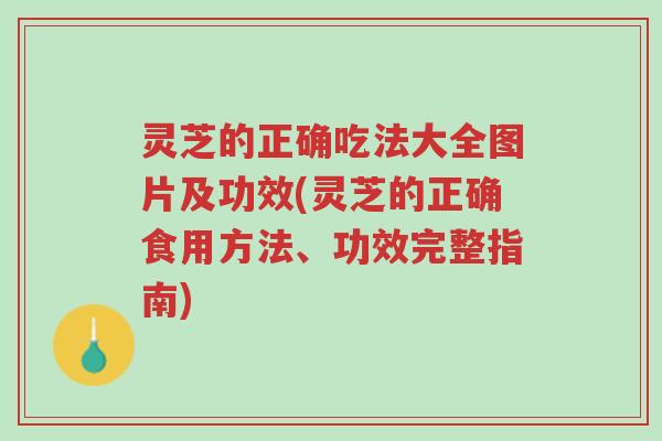 灵芝的正确吃法大全图片及功效(灵芝的正确食用方法、功效完整指南)-第1张图片-超越