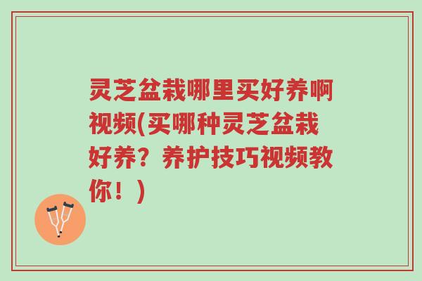 灵芝盆栽哪里买好养啊视频(买哪种灵芝盆栽好养？养护技巧视频教你！)-第1张图片-超越
