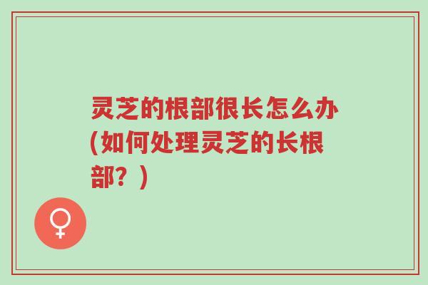 灵芝的根部很长怎么办(如何处理灵芝的长根部?)-第1张图片-超越 灵芝的根部很长怎么办(如何处理灵芝的长根部?)-第1张图片-超越
