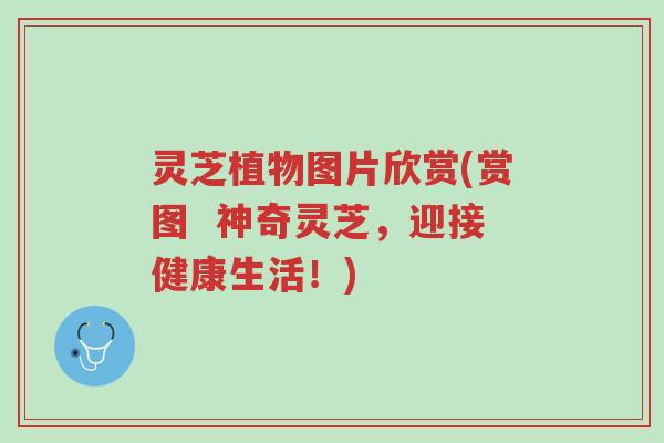 灵芝植物图片欣赏(赏图 神奇灵芝,迎接健康生活!)-第1张图片-超越 灵芝植物图片欣赏(赏图 神奇灵芝,迎接健康生活!)-第1张图片-超越