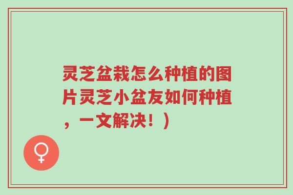 灵芝盆栽怎么种植的图片灵芝小盆友如何种植，一文解决！)-第1张图片-超越
