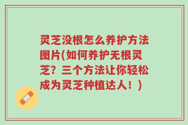 灵芝没根怎么养护方法图片(如何养护无根灵芝?三个方法让你轻松成为灵芝种植达人!)-第1张图片-超越 灵芝没根怎么养护方法图片(如何养护无根灵芝?三个方法让你轻松成为灵芝种植达人!)-第1张图片-超越