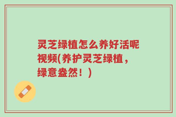 灵芝绿植怎么养好活呢视频(养护灵芝绿植,绿意盎然!)-第1张图片-超越 灵芝绿植怎么养好活呢视频(养护灵芝绿植,绿意盎然!)-第1张图片-超越