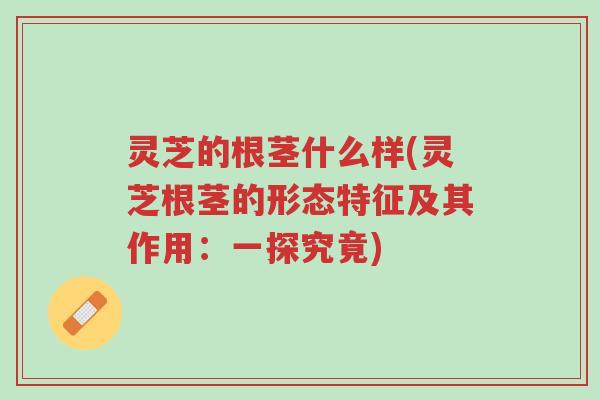 灵芝的根茎什么样(灵芝根茎的形态特征及其作用:一探究竟)-第1张图片-超越 灵芝的根茎什么样(灵芝根茎的形态特征及其作用:一探究竟)-第1张图片-超越