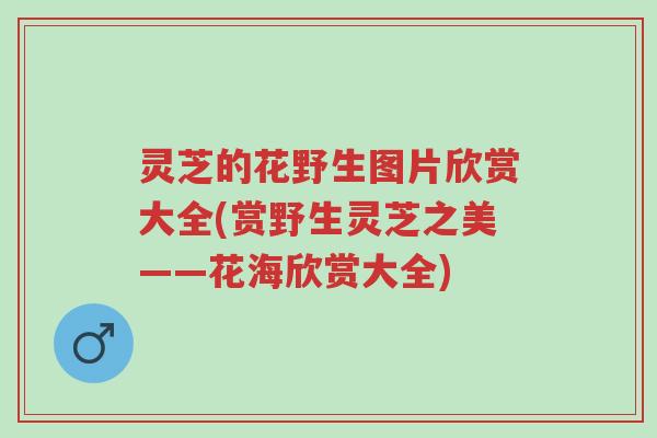 灵芝的花野生图片欣赏大全(赏野生灵芝之美——花海欣赏大全)-第1张图片-超越 灵芝的花野生图片欣赏大全(赏野生灵芝之美——花海欣赏大全)-第1张图片-超越