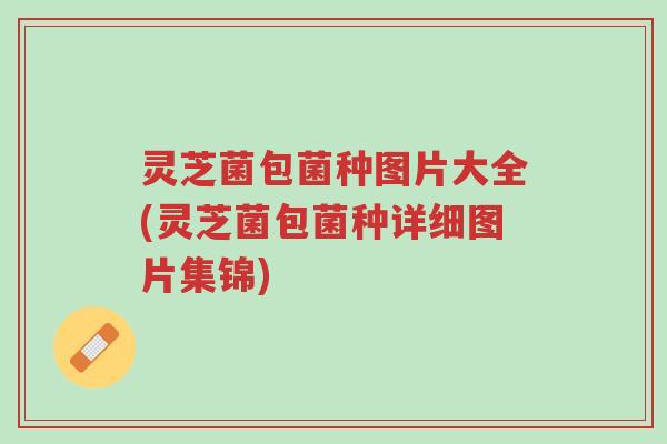 灵芝菌包菌种图片大全(灵芝菌包菌种详细图片集锦)-第1张图片-超越 灵芝菌包菌种图片大全(灵芝菌包菌种详细图片集锦)-第1张图片-超越