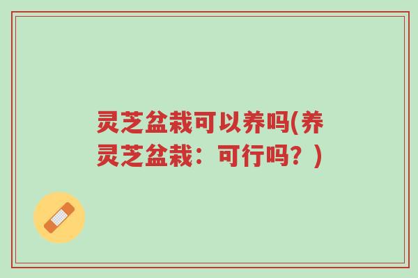 灵芝盆栽可以养吗(养灵芝盆栽:可行吗?)-第1张图片-超越 灵芝盆栽可以养吗(养灵芝盆栽:可行吗?)-第1张图片-超越