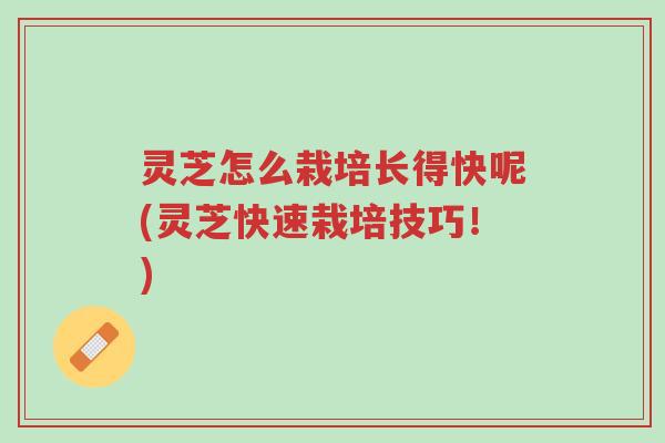 灵芝怎么栽培长得快呢(灵芝快速栽培技巧!)-第1张图片-超越 灵芝怎么栽培长得快呢(灵芝快速栽培技巧!)-第1张图片-超越