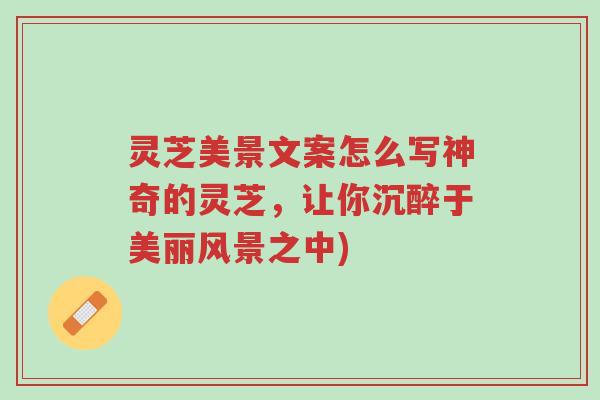 灵芝美景文案怎么写神奇的灵芝,让你沉醉于美丽风景之中)-第1张图片-超越 灵芝美景文案怎么写神奇的灵芝,让你沉醉于美丽风景之中)-第1张图片-超越