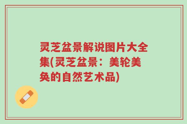 灵芝盆景解说图片大全集(灵芝盆景:美轮美奂的自然艺术品)-第1张图片-超越 灵芝盆景解说图片大全集(灵芝盆景:美轮美奂的自然艺术品)-第1张图片-超越