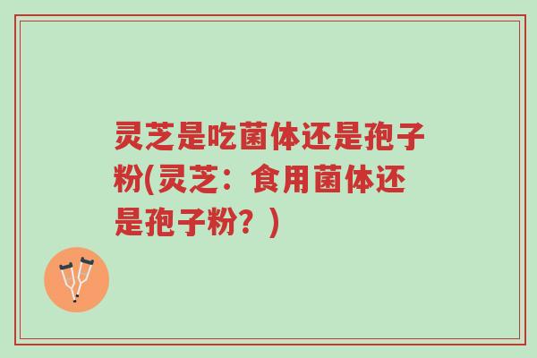 灵芝是吃菌体还是孢子粉(灵芝:食用菌体还是孢子粉?)-第1张图片-超越 灵芝是吃菌体还是孢子粉(灵芝:食用菌体还是孢子粉?)-第1张图片-超越